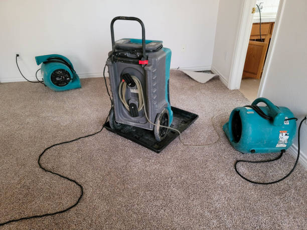Best Flooded house restoration  in Charenton, LA