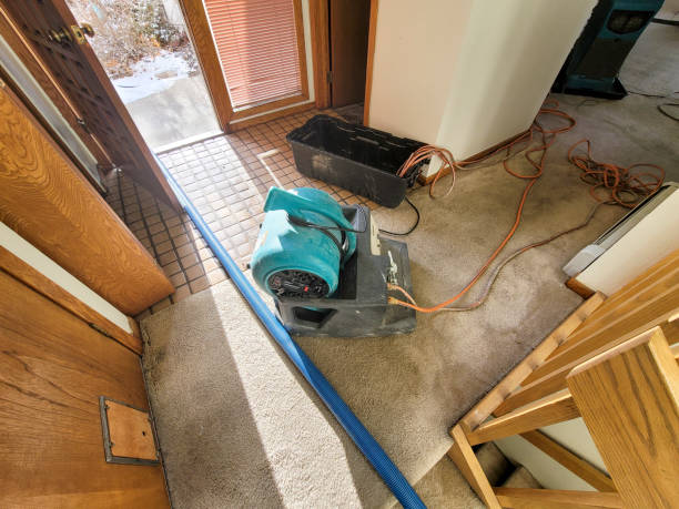 Best Flood restoration services  in Charenton, LA