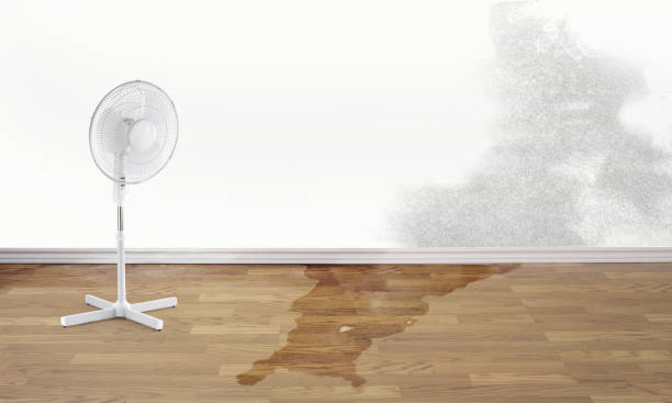 Best 24/7 water damage repair  in Charenton, LA
