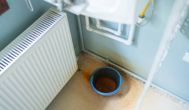 Best Mold removal after water damage  in Charenton, LA