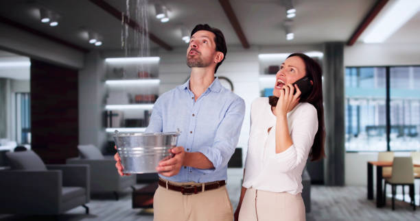 Best Professional water damage repair  in Charenton, LA