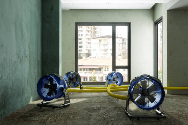 Best Water damage contractors near me  in Charenton, LA